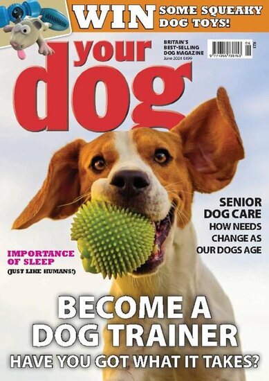 Your Dog Magazine