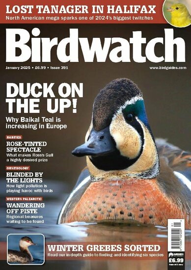 Birdwatch Magazine