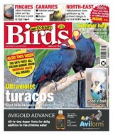 Cage &amp; Aviary Birds Magazine