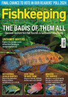 Practical Fishkeeping Magazine